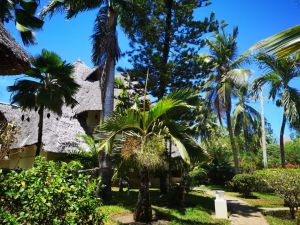 AESTUS VILLAS RESORT  DIANI BEACH |  -  - 