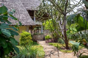 AESTUS VILLAS RESORT  DIANI BEACH |  -  - 