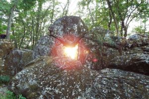 Tenuta la Farfalla Dorata |  -  - 