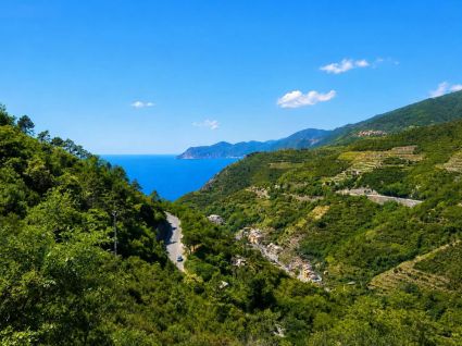 IL Rustico della Pace |  -  - 