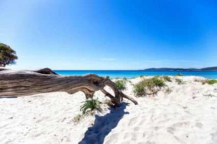 Villa Sole Mare  |  -  - 