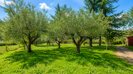 Villa Natura Mare |  -  - 