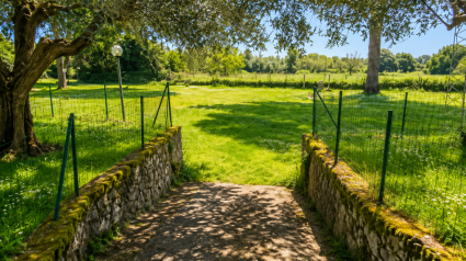 Villa Natura Mare |  -  - 