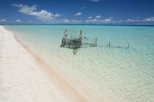 L' Antico Baglio sul Mare |  -  - 