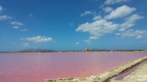 L' Antico Baglio sul Mare |  -  - 
