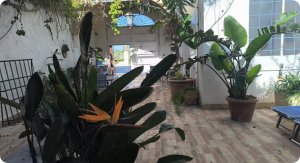L' Antico Baglio sul Mare |  -  - 