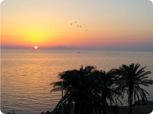 L' Antico Baglio sul Mare |  -  - 