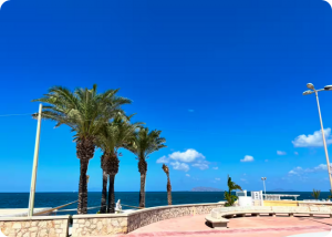 L' Antico Baglio sul Mare |  -  - 