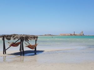 L' Antico Baglio sul Mare |  -  - 