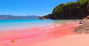L' Antico Baglio sul Mare |  -  - 