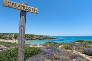 Casa Marinella sulla Spiaggia |  -  - 