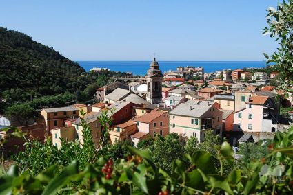 Appartamento Mimose |  -  - 
