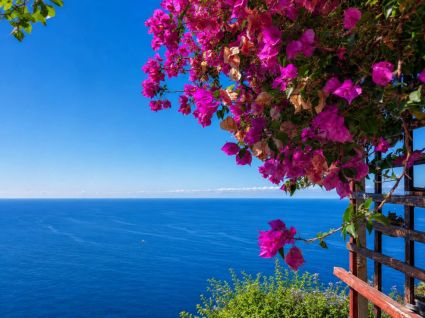 Ristico Belvedere Tramonti  |  -  - 