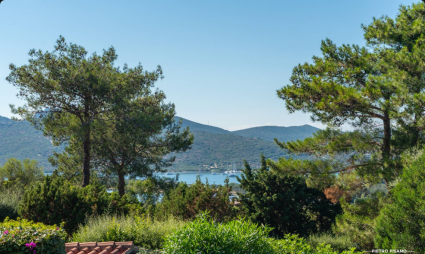 Villetta Smeraldina |  -  - 