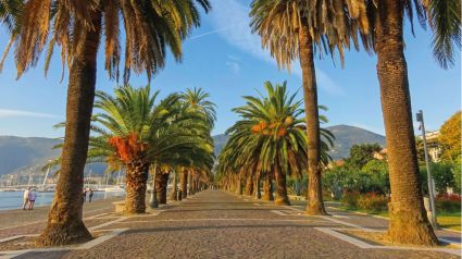 Appartamento Rosy |  -  - 