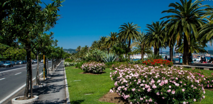 Appartamento Rosy |  -  - 