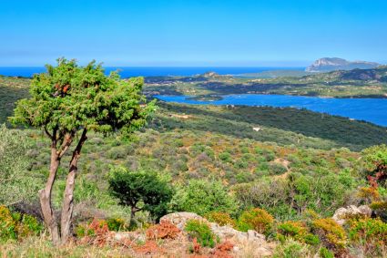 Villa Bellavista |  -  - 