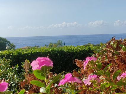 Casa Bianca di Capo Vaticano |  -  - 