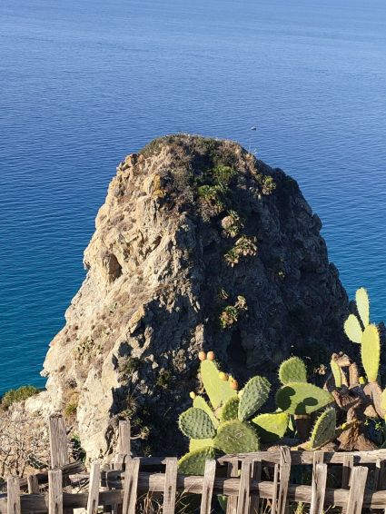 Casa Bianca di Capo Vaticano |  -  - 