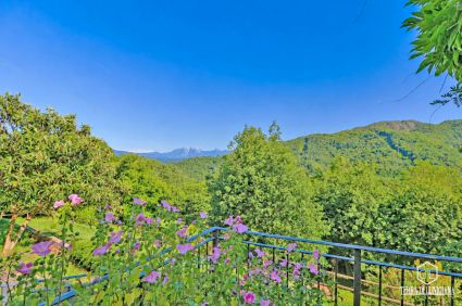 Agriturismo Lunigiana Mare |  -  - 
