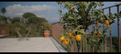 Tenuta Policastro |  -  - 
