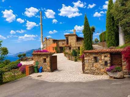 Tenuta Policastro |  -  - 