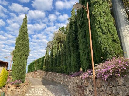 Tenuta Policastro |  -  - 
