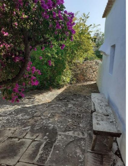 Casa Gay San Francesc |  -  - 