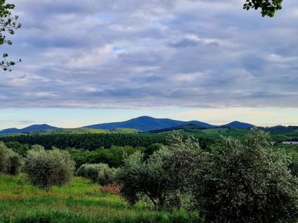 Agriturismo Maremma Mare |  -  - 