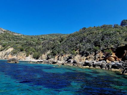 Agriturismo Maremma Mare |  -  - 