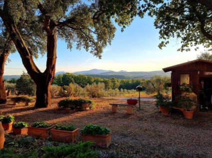 Agriturismo Maremma Mare |  -  - 