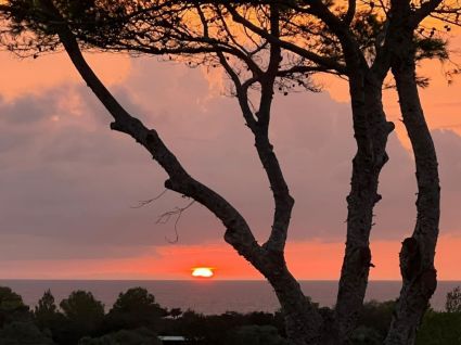 Casa Tavi Cala Saona |  -  - 