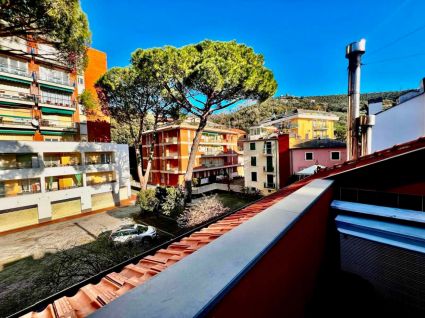 Casetta Cavi di Lavagna |  -  - 
