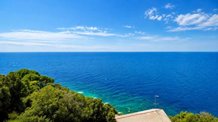 Una Terrazza sul Blu di Moneglia  |  -  - 