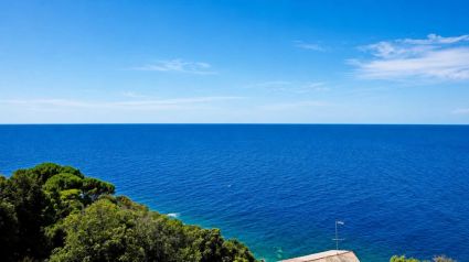 Una Terrazza sul Blu di Moneglia  |  -  - 