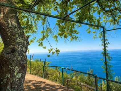 Antico Rustico della Costa |  -  - 