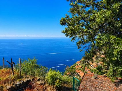 Antico Rustico della Costa |  -  - 