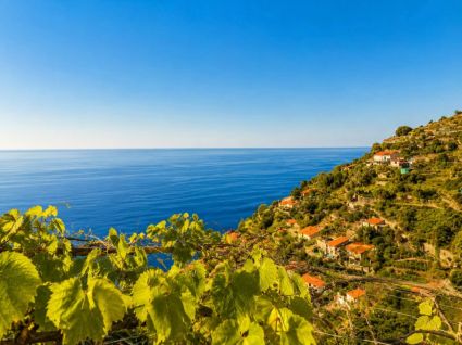 Antico Rustico della Costa |  -  - 