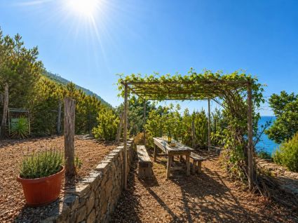 Antico Rustico della Costa |  -  - 