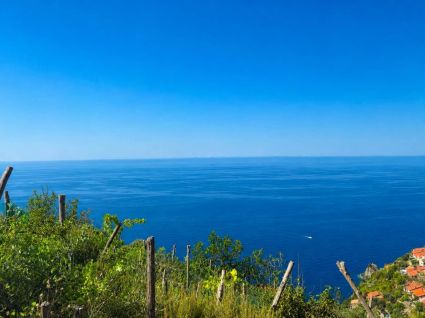 Antico Rustico della Costa |  -  - 