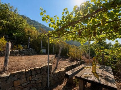 Antico Rustico della Costa |  -  - 