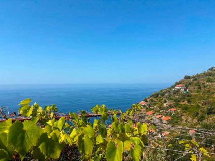 Antico Rustico della Costa |  -  - 