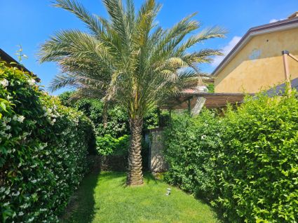 Tenuta Monegliese |  -  - 