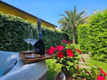 Tenuta Monegliese |  -  - 