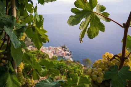 La Casa dell' Amore |  -  - 