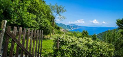 Il Fienile la Casetta dei Sogni  |  -  - 
