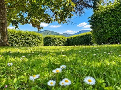 La Villa delle Margherite |  -  - 