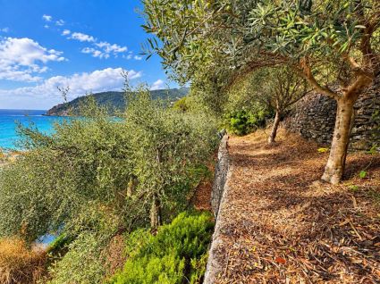 Casa Brezza di Mare |  -  - 