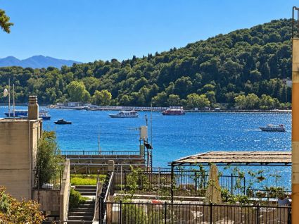 La Casa delle Stelle Marine |  -  - 