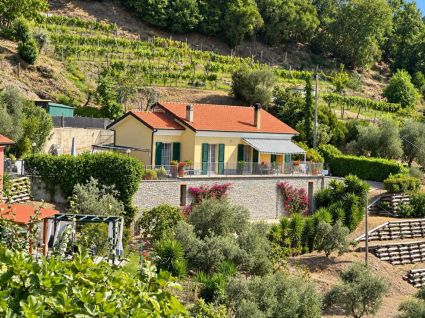 La Villa che Sorride al Mare |  -  - 